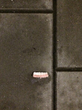 IZZY MORIARTY THOMPSON