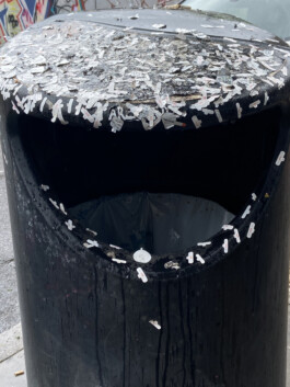 IZZY MORIARTY THOMPSON