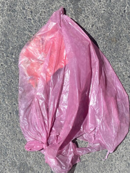 IZZY MORIARTY THOMPSON