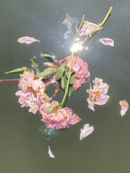 IZZY MORIARTY THOMPSON