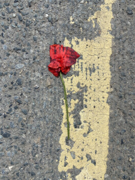 IZZY MORIARTY THOMPSON