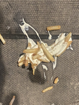 IZZY MORIARTY THOMPSON