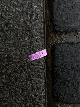 IZZY MORIARTY THOMPSON