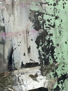 IZZY MORIARTY THOMPSON