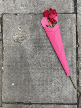 IZZY MORIARTY THOMPSON