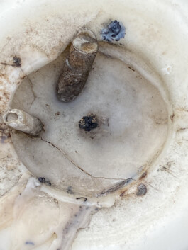 IZZY MORIARTY THOMPSON