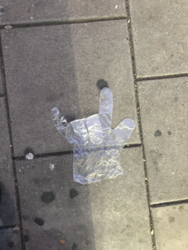 IZZY MORIARTY THOMPSON