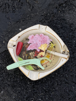 IZZY MORIARTY THOMPSON