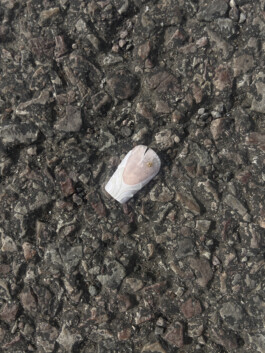 IZZY MORIARTY THOMPSON