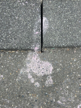 IZZY MORIARTY THOMPSON