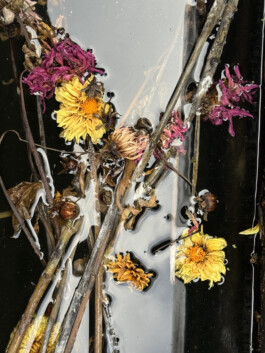 IZZY MORIARTY THOMPSON