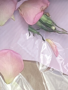 IZZY MORIARTY THOMPSON