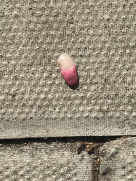 IZZY MORIARTY THOMPSON