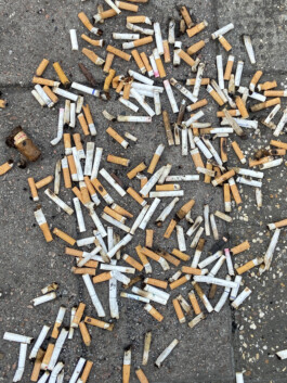 IZZY MORIARTY THOMPSON