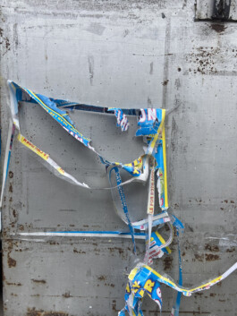 IZZY MORIARTY THOMPSON