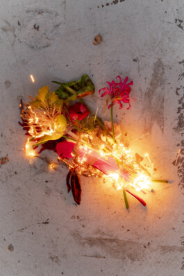 IZZY MORIARTY THOMPSON