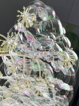 IZZY MORIARTY THOMPSON