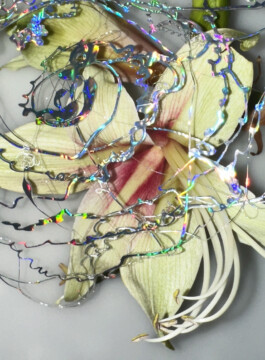 IZZY MORIARTY THOMPSON