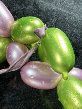 IZZY MORIARTY THOMPSON