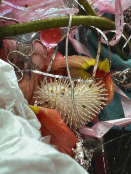 IZZY MORIARTY THOMPSON