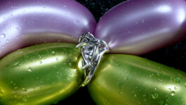 IZZY MORIARTY THOMPSON